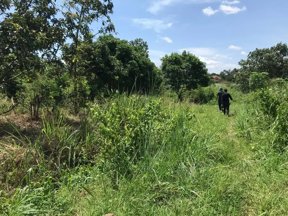 Tanah Bedahan, Pasir Putih, Sawangan