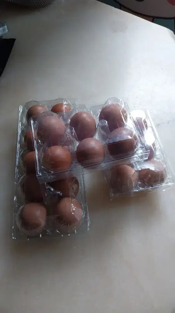 Dijual telur sehat dari ayam rutin vaksin dan kandang terbaik