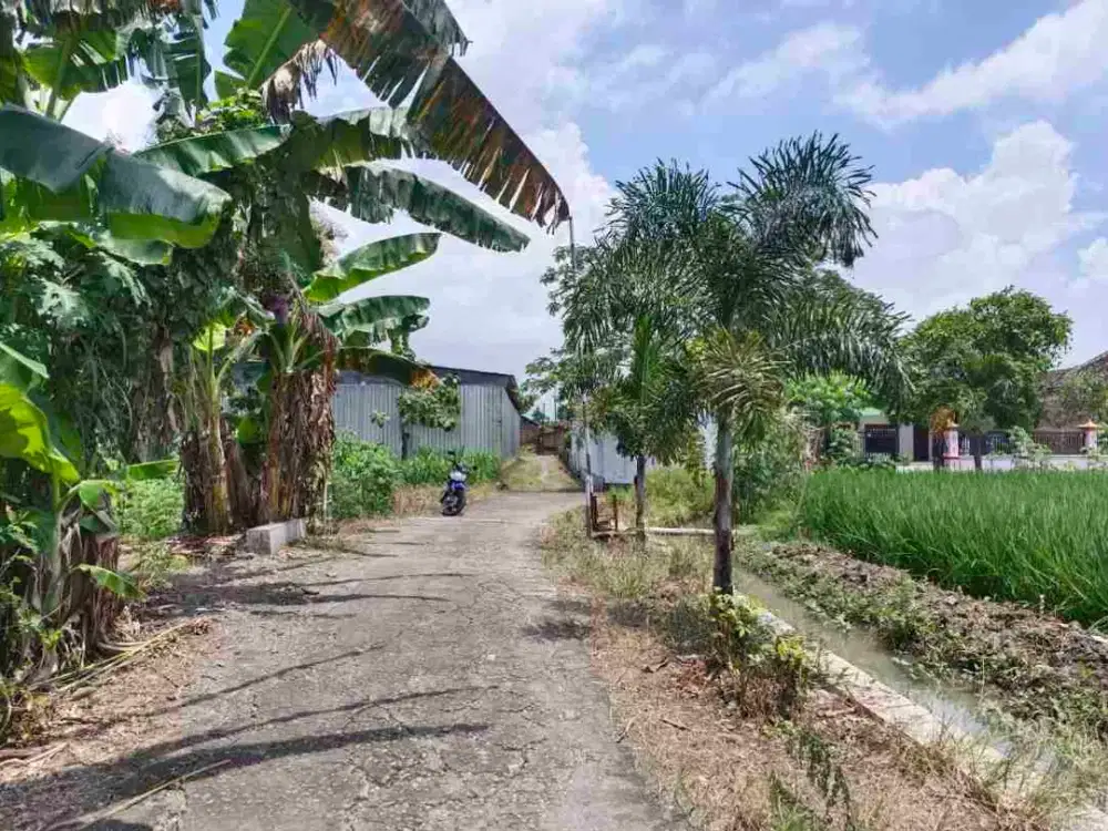 Tanah Bakalan 2400Mt, Ld 30Mt, dkt SPBU Jalan Abdul Latief, Polokarto, Sukoharjo