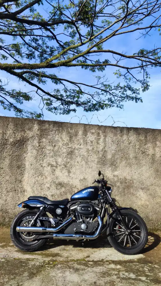 Harley Davidson sportster 883 2013