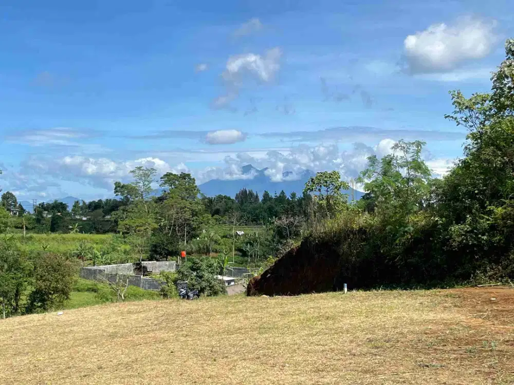 Tanah Puncak Luas 255m² Siap Bangun Legalitas Aman Di Jual