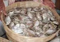 Ikan Bete-Bete Kering Khas Kendari