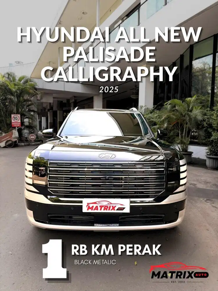 Hyundai All new palisade Calligraphy! All new palisade ! Hyundai!