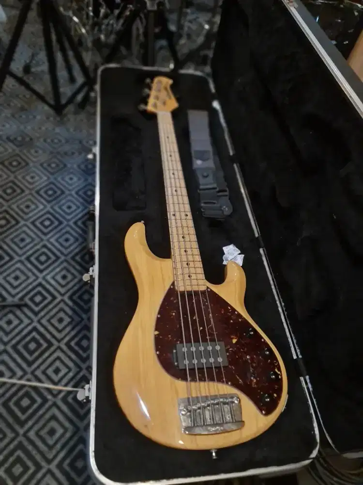 Bass Ernieball Musicman Stingray 5 H USA