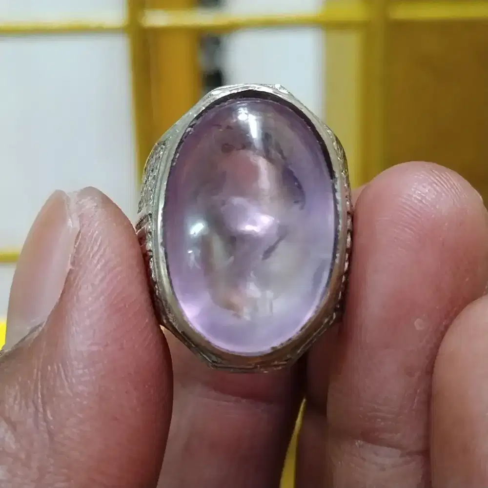 Kecubung bungur lampung btb