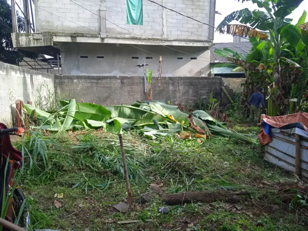 Jasa potong rumput & pembersih lahan