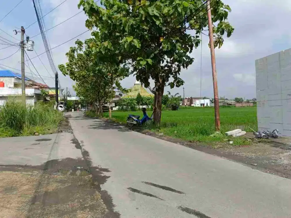 Tanah Kartasura 2930Mt, Ld 31Mt, Ngemplak, dkt UIN Raden Mas Said, Sukoharjo