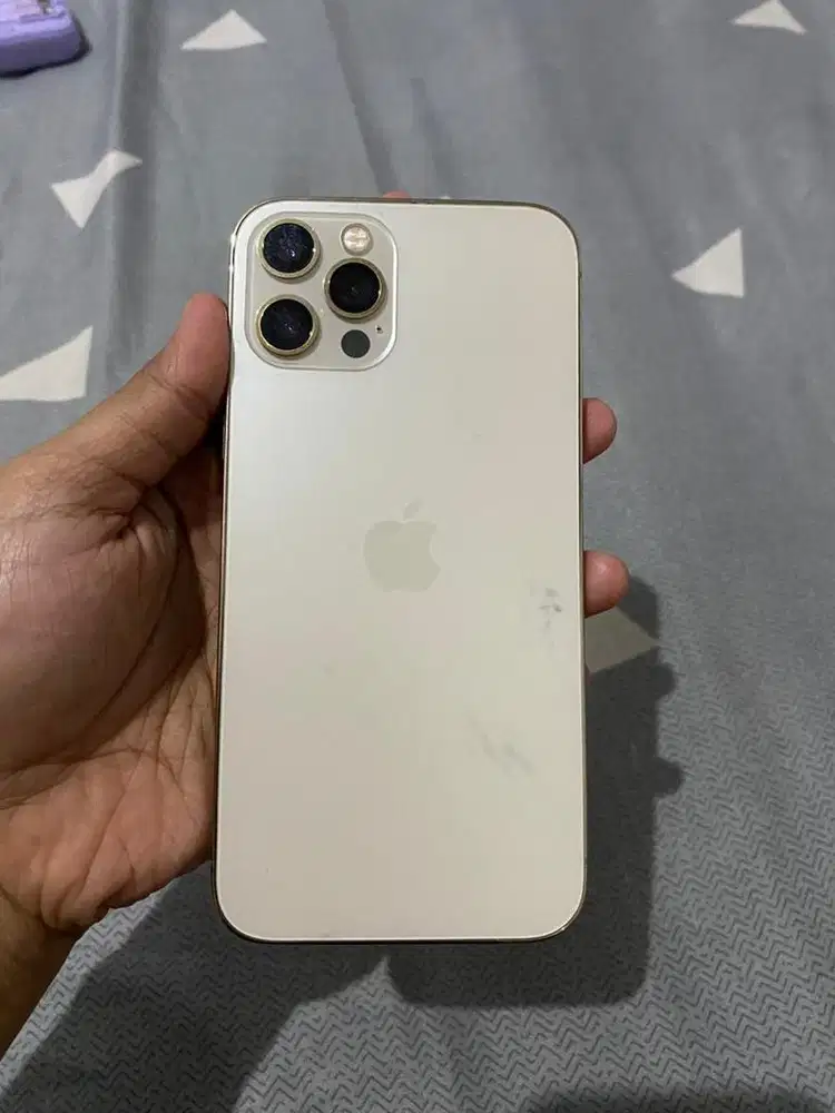 iPhone 12 Pro 128GB – No Service (Inter) – Lecet Pemakaian