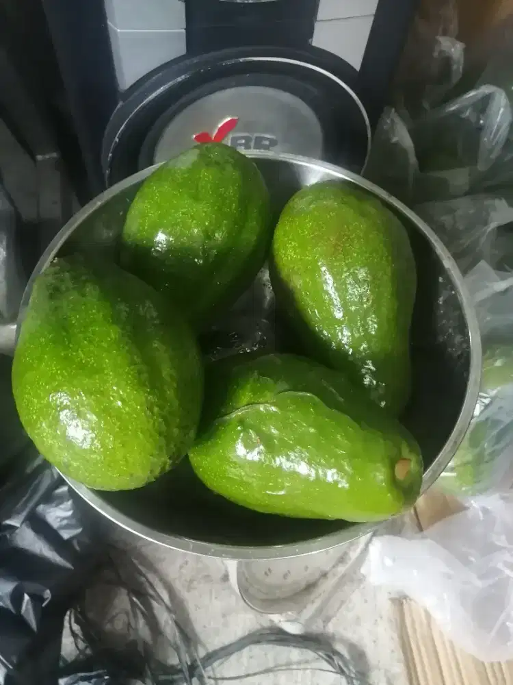 Makanan apokat mentega