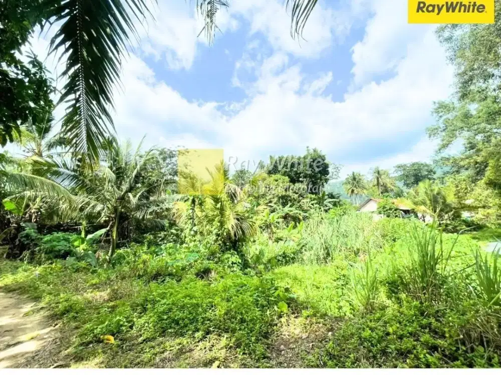 Dijual Tanah Kolam Di Teluk Pandan, Pesawaran (Kode : YOK 3470)