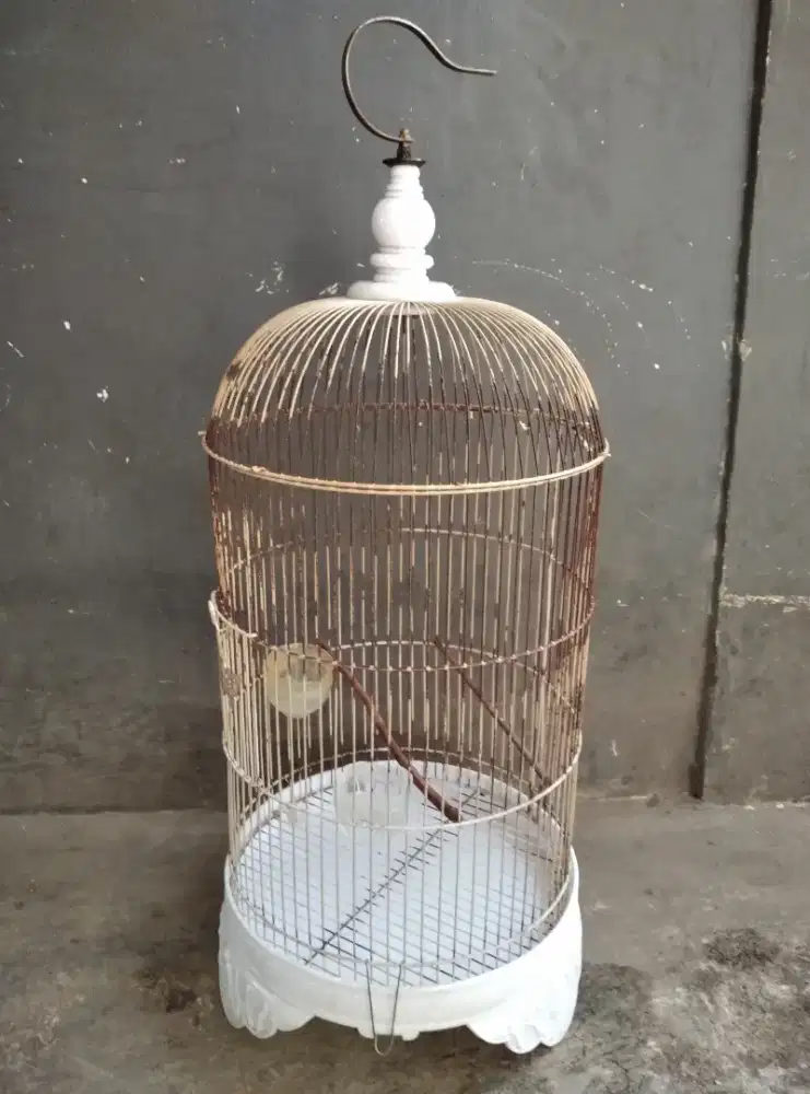 Kandang bekas burung lovebird