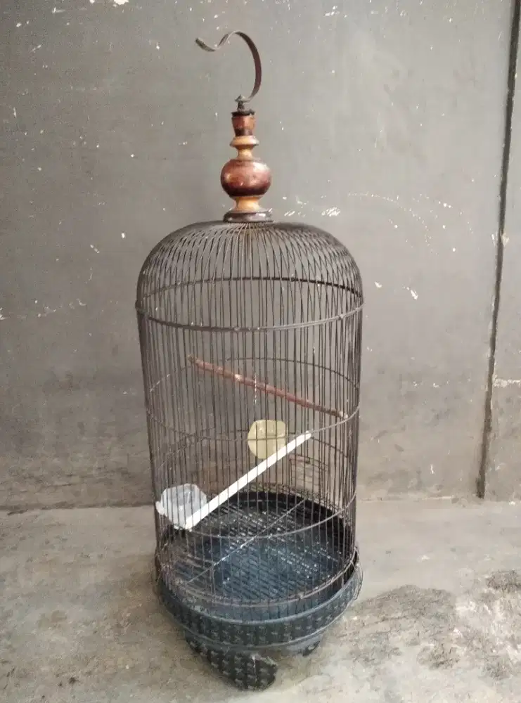Kandang bekas burung lovebird