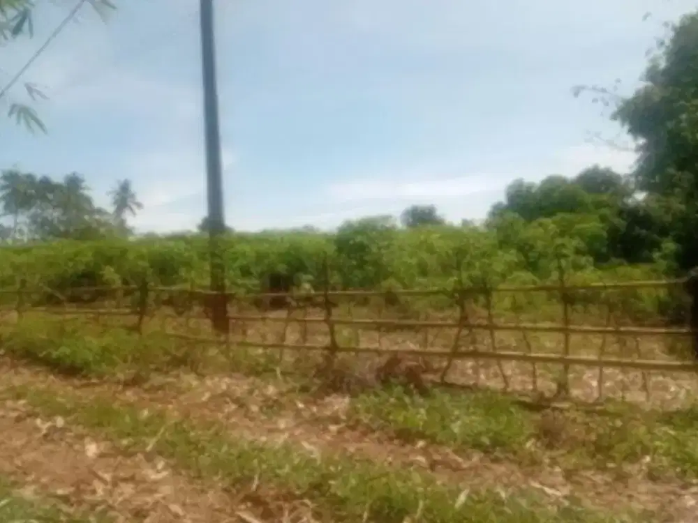 Dijual Tanah sekitar Jalan Poros Kariango Carangki, Tanralili, Maros