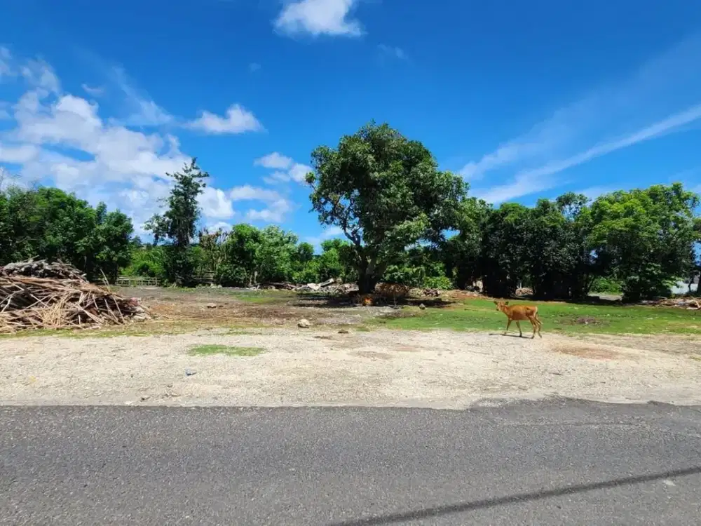 Land Premium Location For rent, Melasti Area.