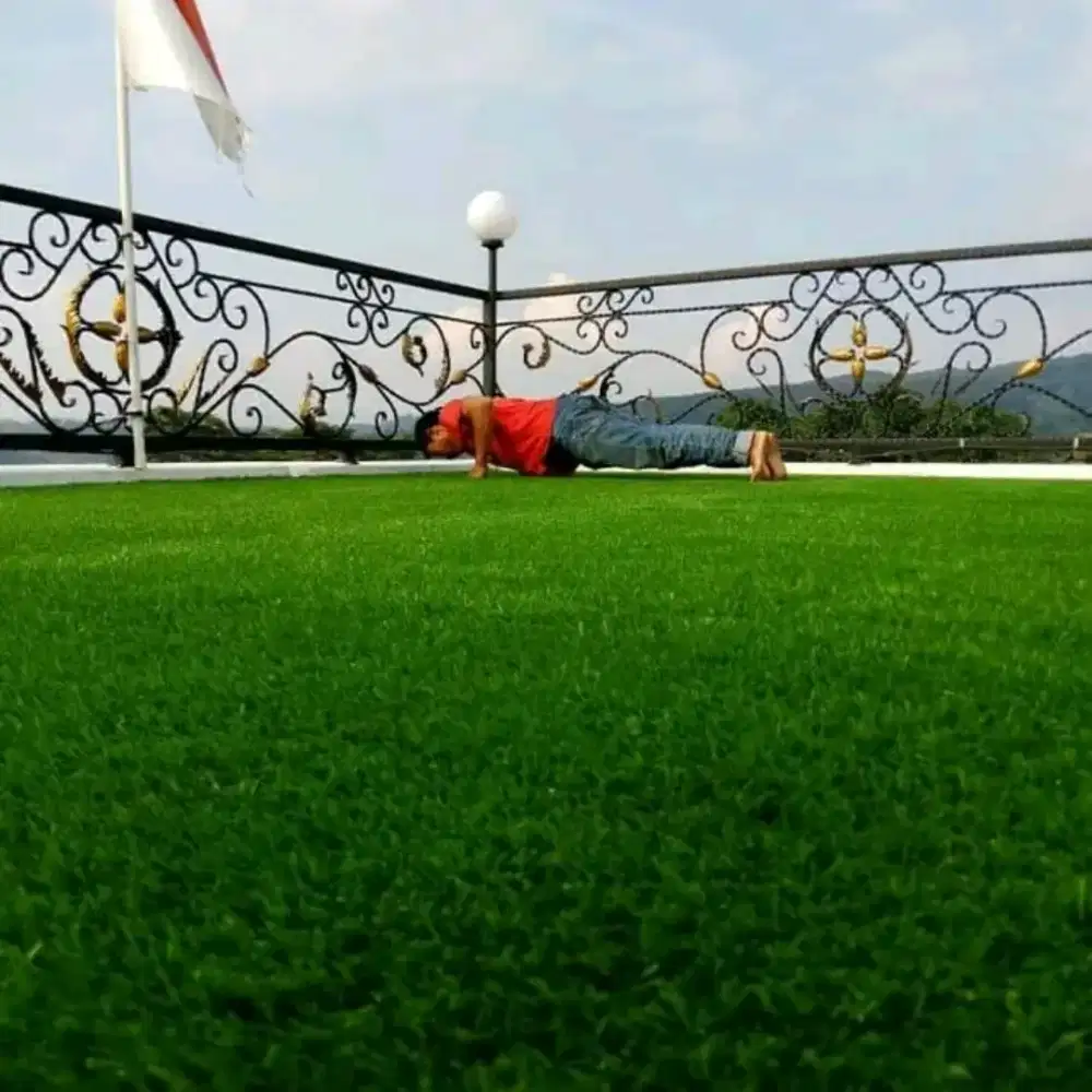 Rumput Sintetis Taman Siap Tuk di Ecer dan Grosir Siap Kirim