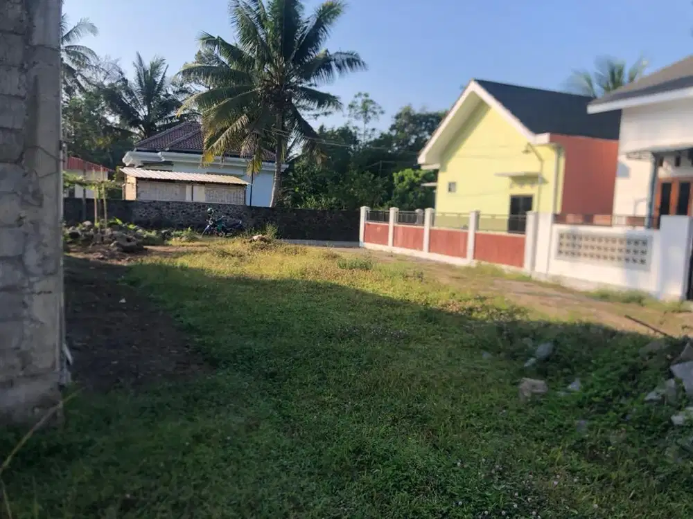 Tanah Murah Butuh Uang