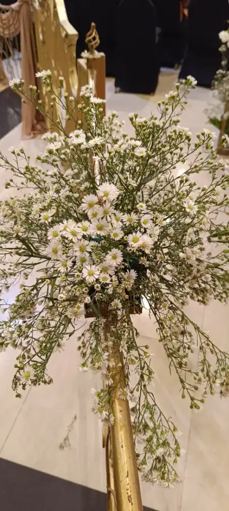 Dibutuhkan segera untuk menjaga lansia