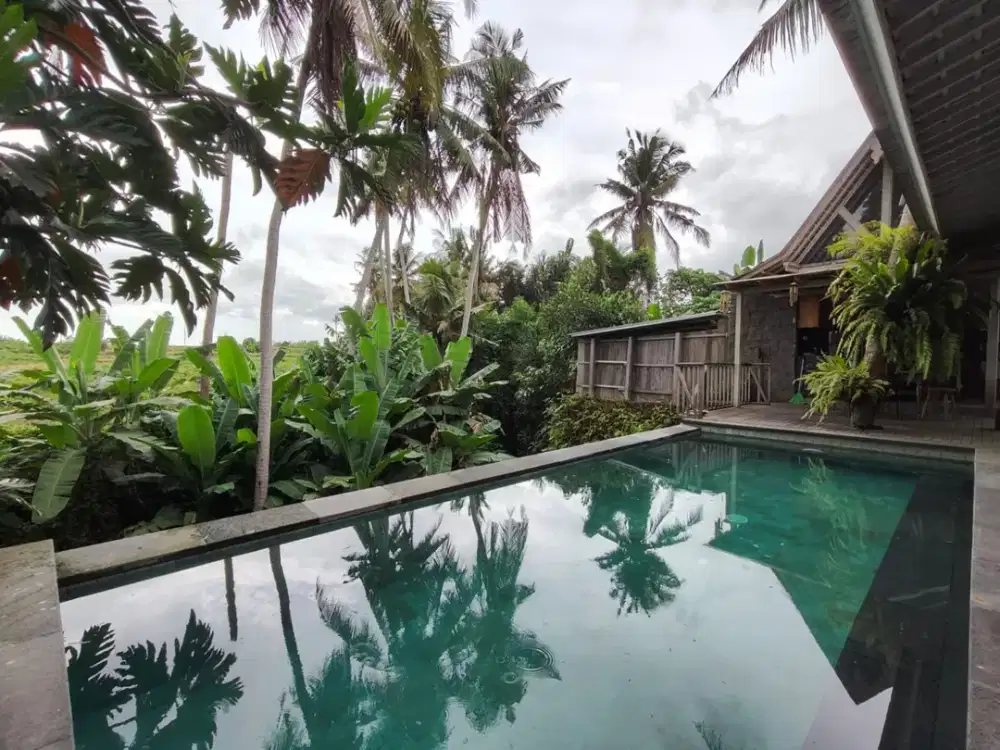 Villa Pantai Purnama Samping Sungai Pemandangan Sawah 5 menit ke Pantai