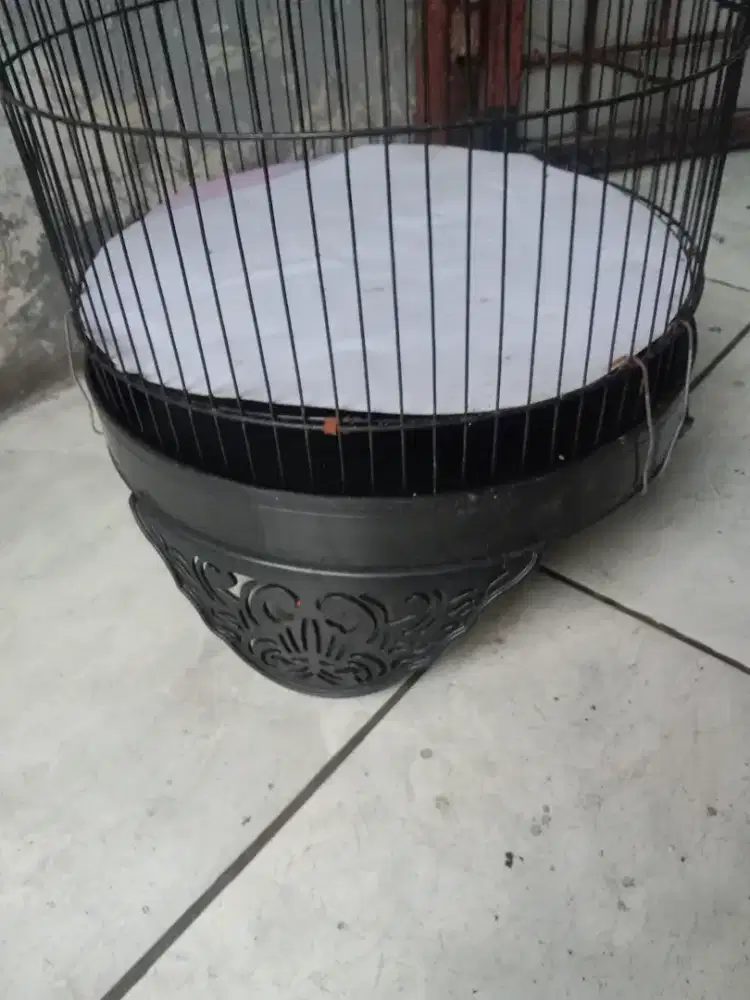 Kandang lovebird msh bagus