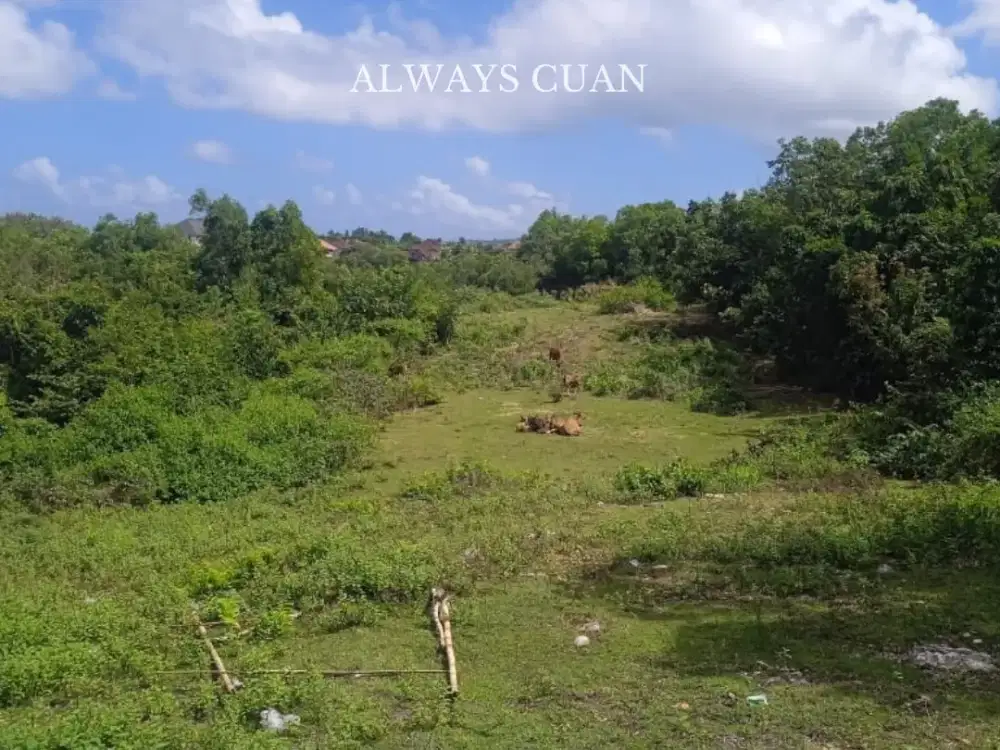 Tanah Pinggir Jalan Dekat Pantai Green Bowl Dijual