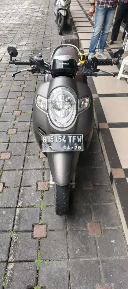 Scoopy stylish 2020
