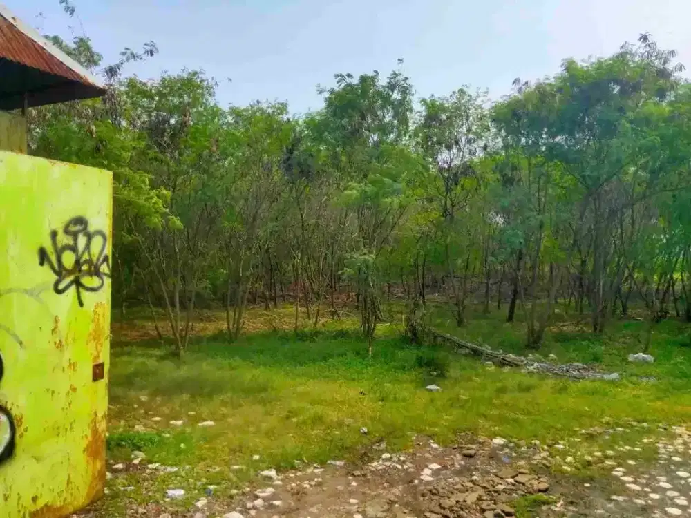 Disewakan tanah strategis 2000 m(25x78) di pinggir jalan area cempaka putih 550 jt/th akses kontainer