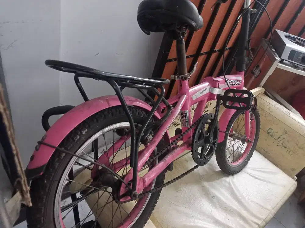 2 Sepeda Dijual Murah