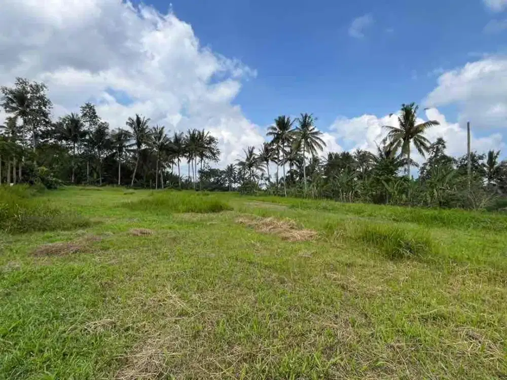 Dijual Tanah Kebun  View Cocok Untuk Hunian Vila Dan Investasi Di Tabanan Bali