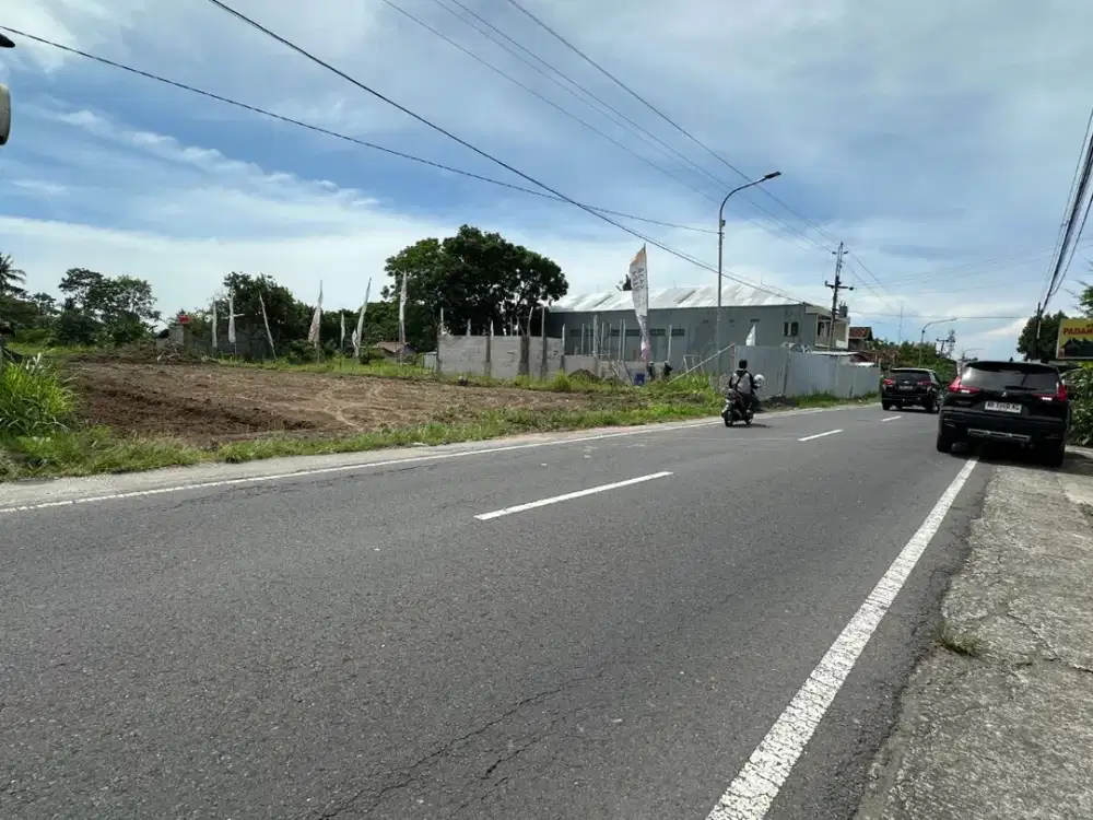 Tanah Palagan SHM Tepi Jl Pandowoharjo 5 Menit Masjid Suciati
