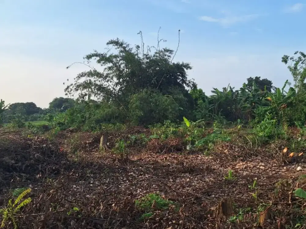 Tepi Jalan Kavling Hunian & Invest Area BSD Barat, Terima SHM Pecah