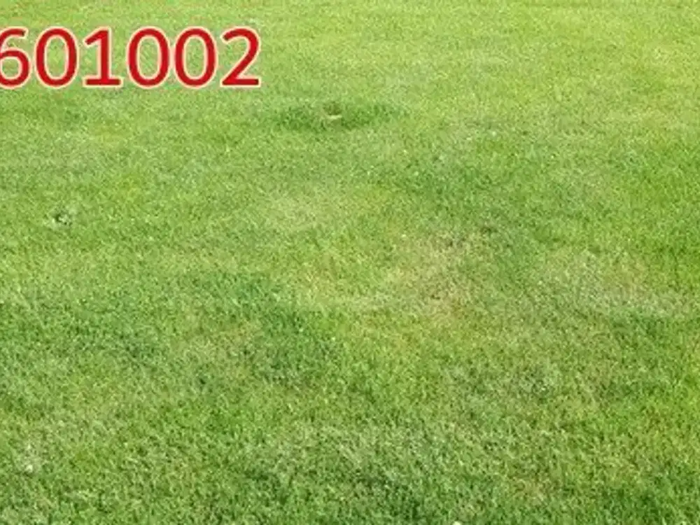 Dijual Tanah Citraland Royal Park dkt Royal Residence, Dian Istana, WBM