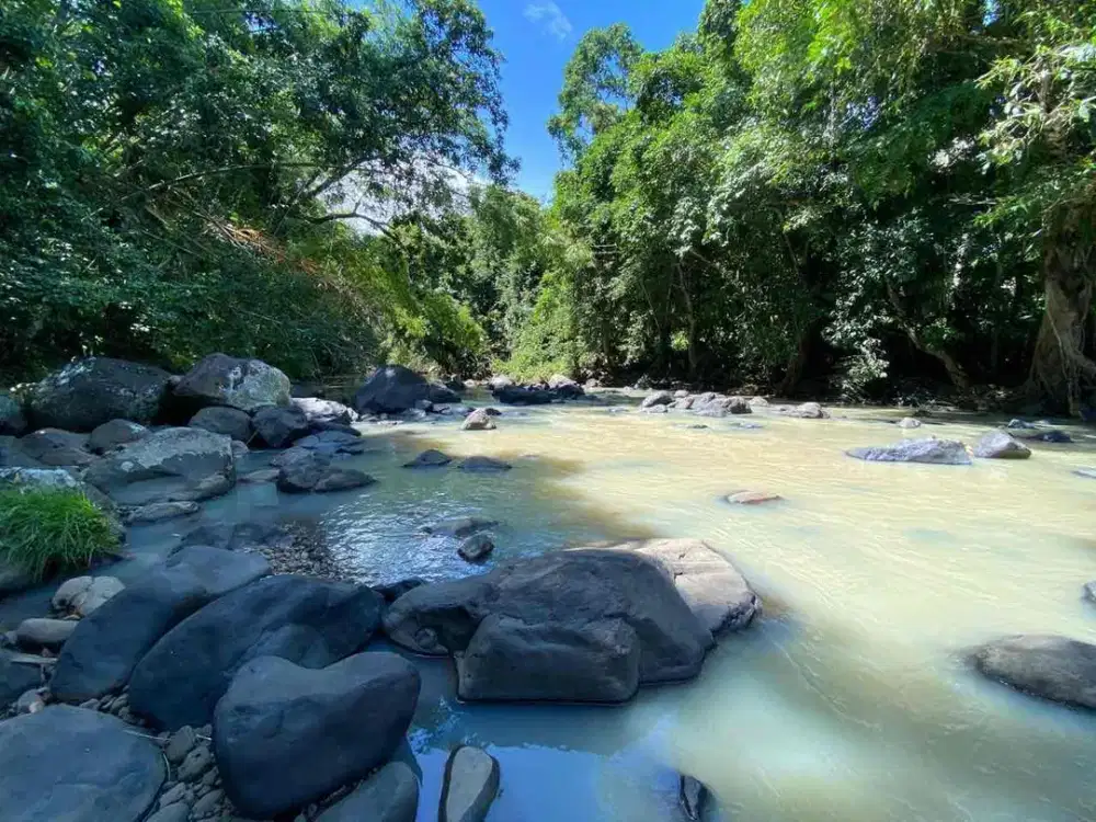 Tanah Eklusif View Jungle Los Sungai Dekat Pantai Tabanan Bali
