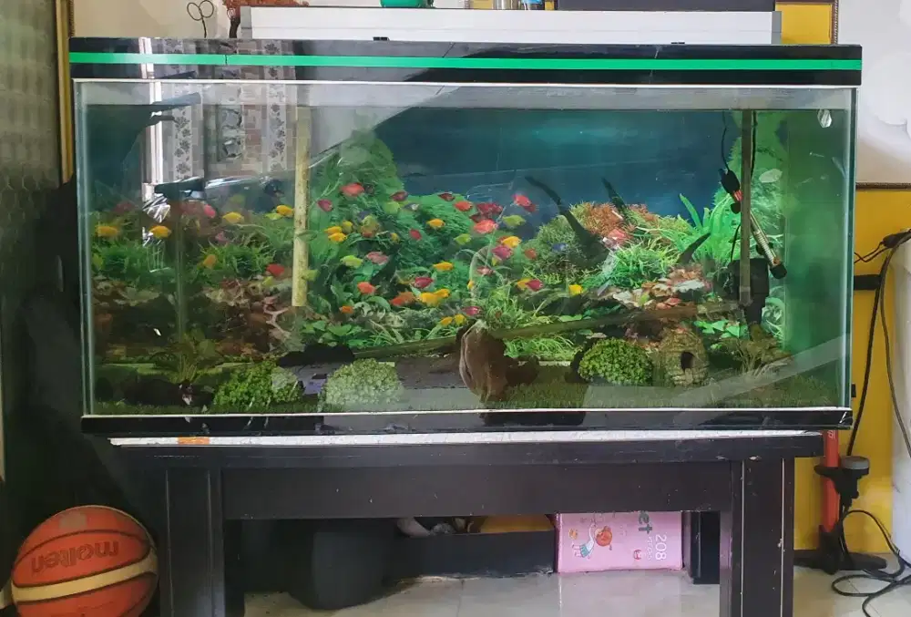 Aquarium besar jumbo bekas
