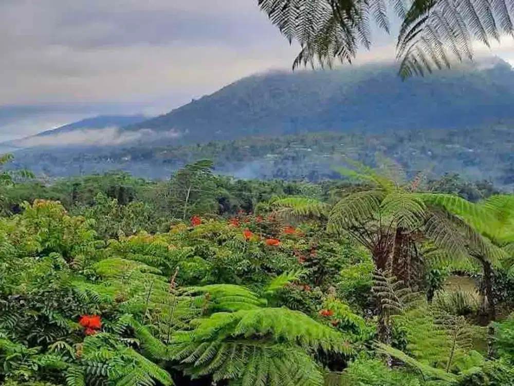 jual wisata edukasi baturiti dekat dengan bedugul