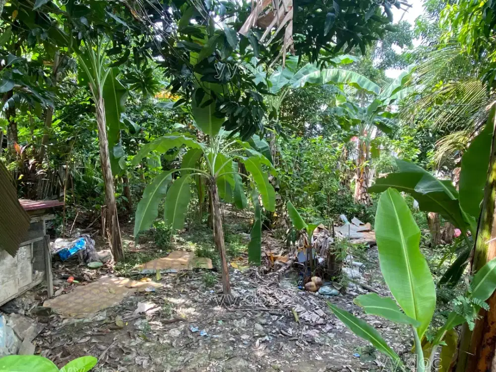 Tanah Luas 2 Menit SMPN 23 Balikpapan