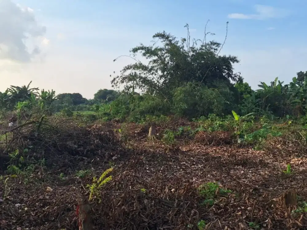 100 Jt-an Kavling SHM Dekat Stasiun Jatake dan Tol SERBARAJA. Bisa Cicil