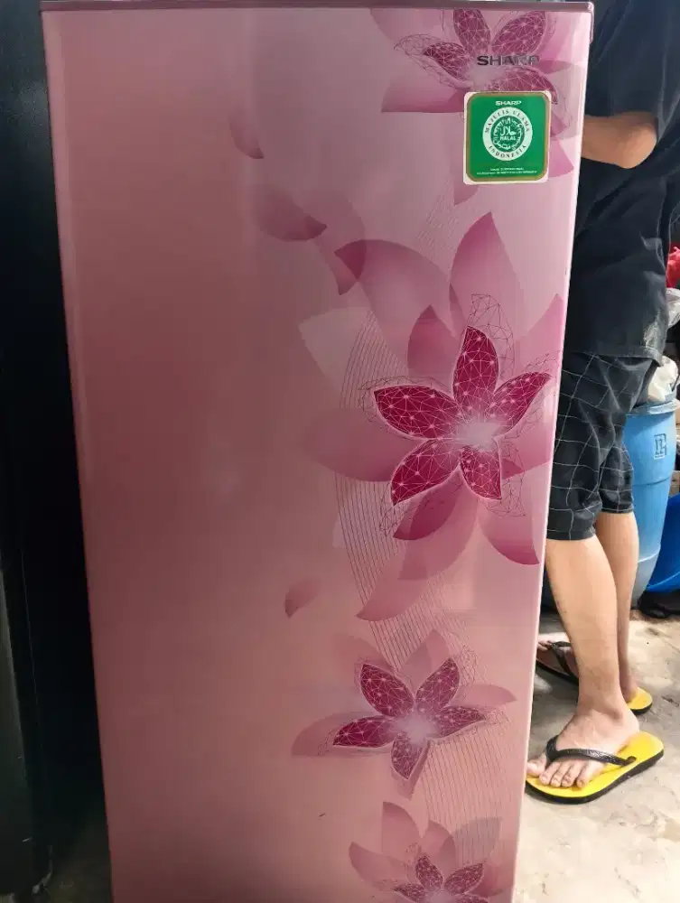 Shrap 1 pintu original