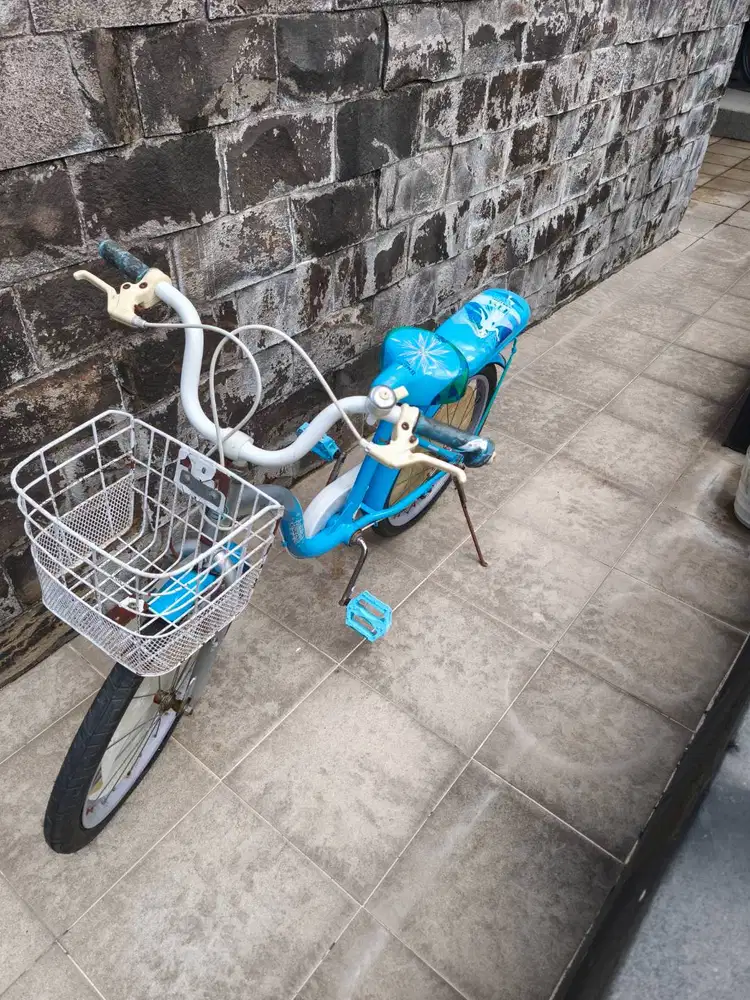 Sepeda anak 20 untuk anal umur 9 tahun ke atas