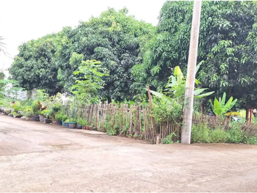 Tanah SHM Hanya 2 Jt-an, 10 Menit Terminal Pondok Cabe