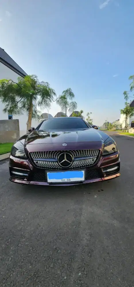 Mercy Mercedes Benz SLK 250 AMG 2012