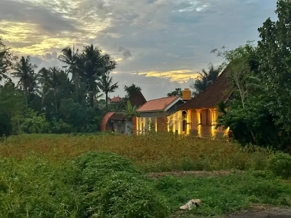 Dijual Tanah Daerah Ubud Gianyar bali