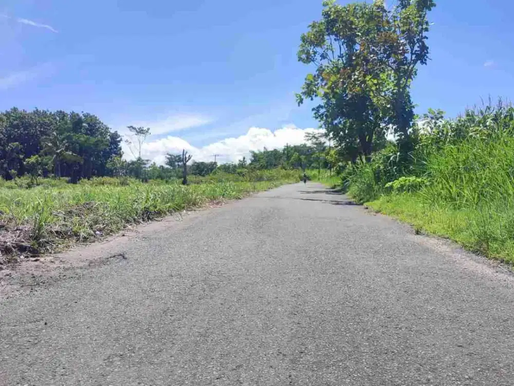 Tanah exs kandang dijual di Bondowoso