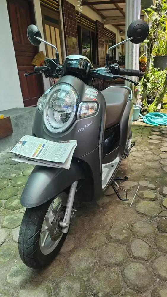Scoopy stylish abu2