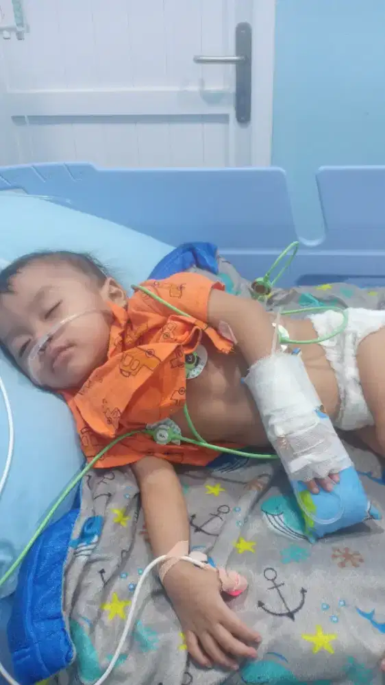 Cari kerjaan freelands