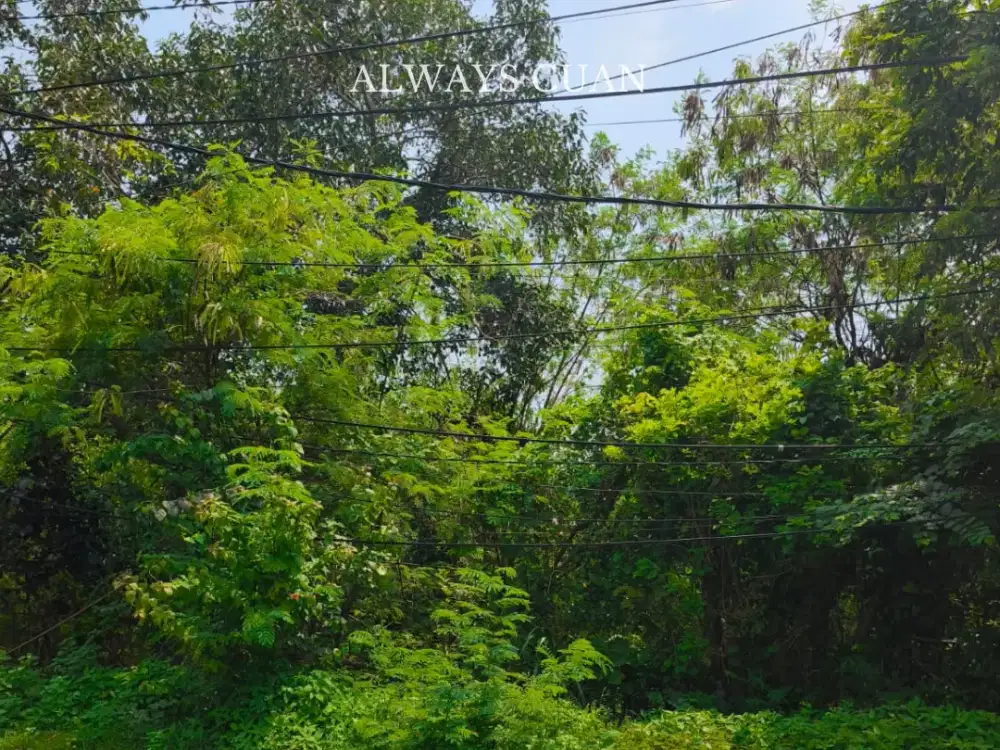 Tanah Di Kawasan Hotel Bintang 5 Nusa Dua Disewakan