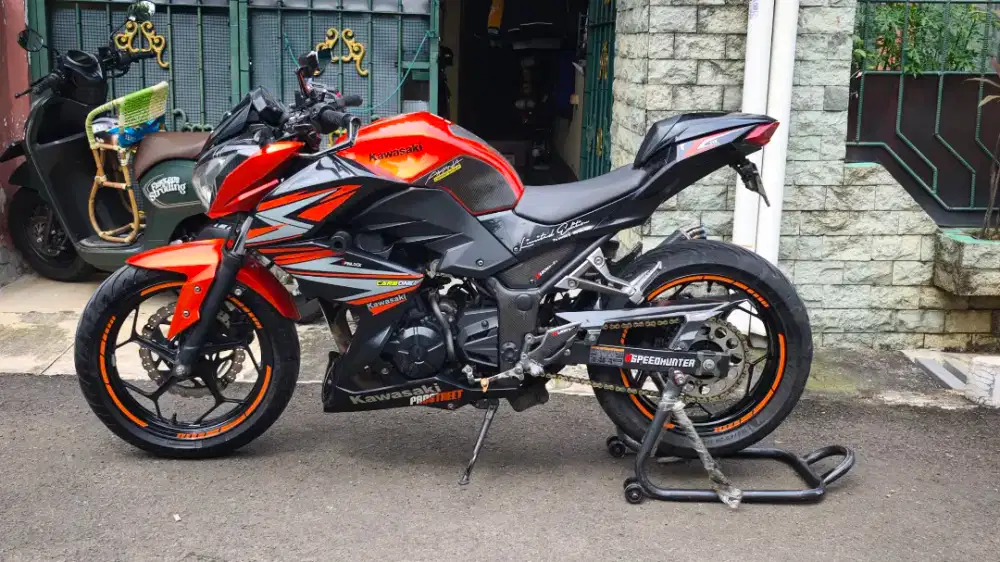 Kawasaki Z250 (2017)