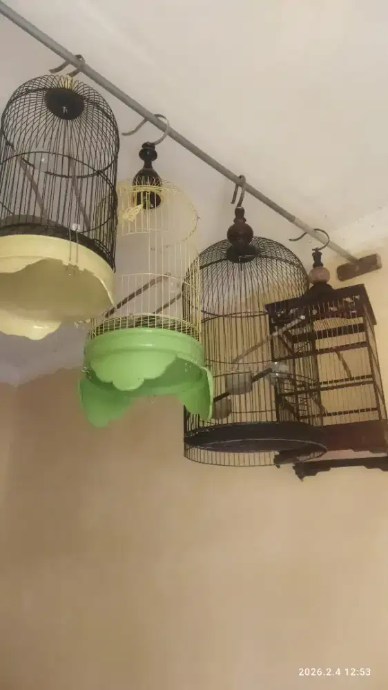 JUAL KANDANG BURUNUG LAYAK PAKAI