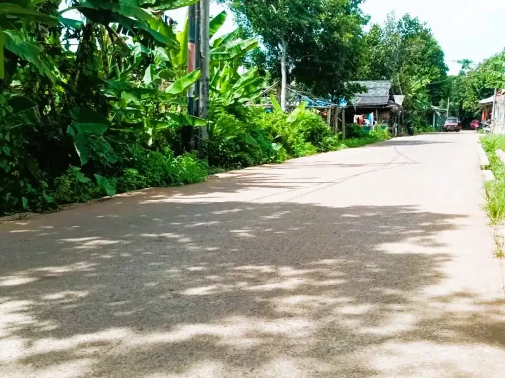 Kavling Strategis Cisauk Dekat Gerbang Tol Legok & Stasiun Jatake