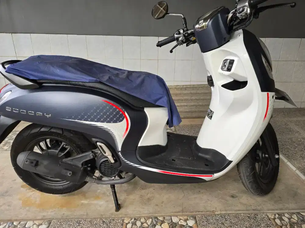 Scoopy Stylish 2024 Fashion Blue