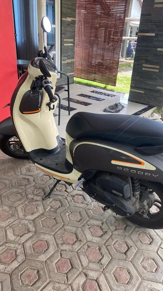 Scoopy 2023 P jember